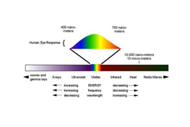 What is UV-C Disinfection Lighting: The Basics