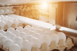 Food Processing Lighting: Food & Beverage Lighting E-Book