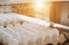 Introducing our Food & Beverage Lighting E-Book