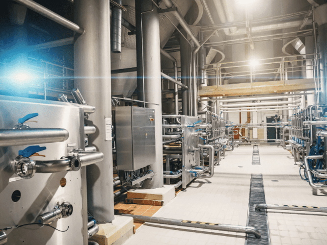 UV Light for Food Irradiation and Employee Illness Protection featured image