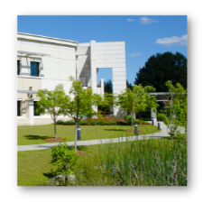 Path & Bollard Lighting Exterior Campus