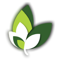 Stouch Lighting Logo Icon-1