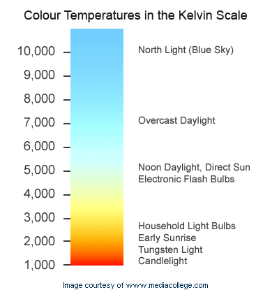 Light Scale Color